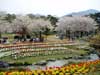 別府公園#1