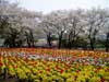 別府公園#2