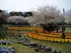 別府公園#3