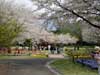 別府公園#4