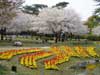 別府公園#5